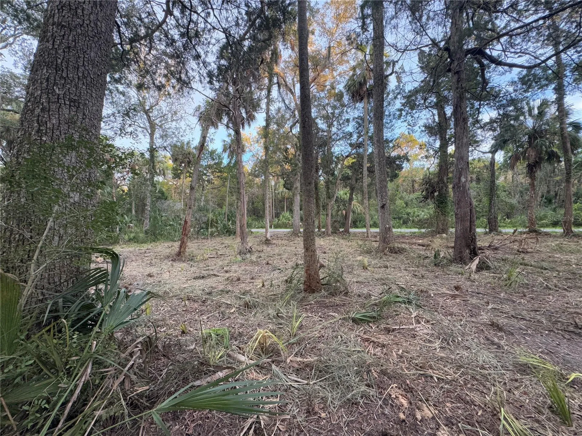 11905 W Eldred Lane Homosassa FL 34448