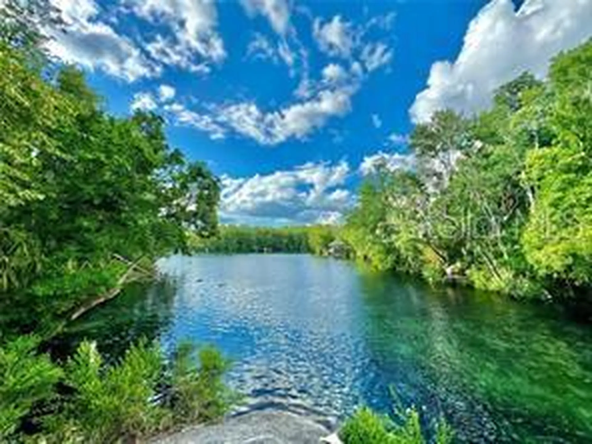 11905 W Eldred Lane Homosassa FL 34448