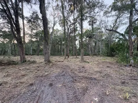 11905 W Eldred Lane Homosassa FL 34448