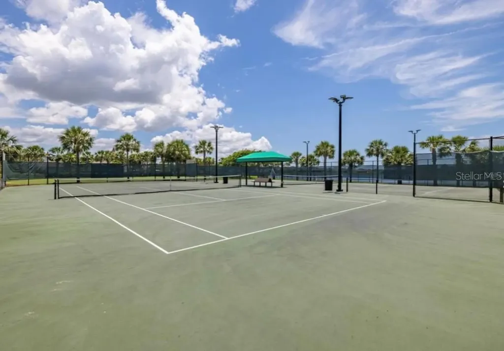 10222 Celtic Ash Drive Ruskin FL 33573