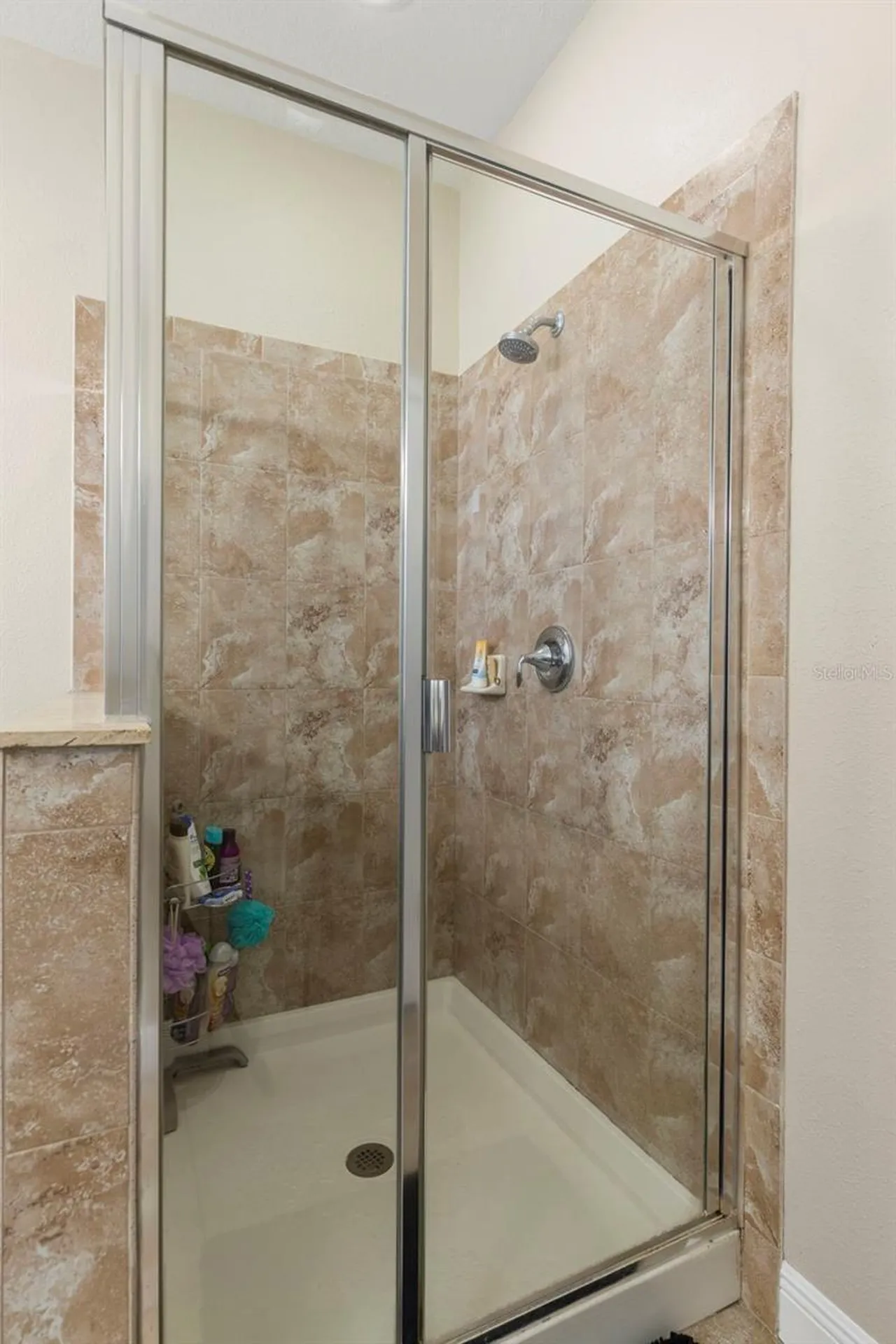 10222 Celtic Ash Drive Ruskin FL 33573