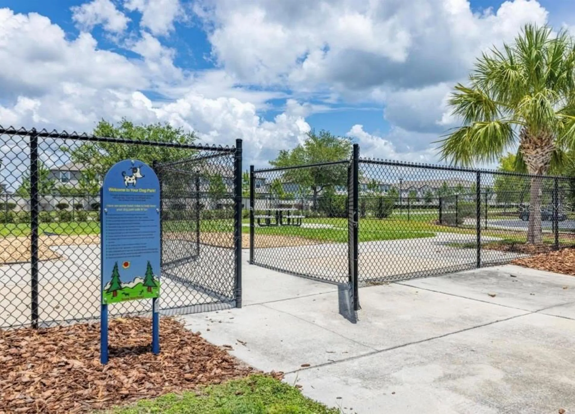 10222 Celtic Ash Drive Ruskin FL 33573