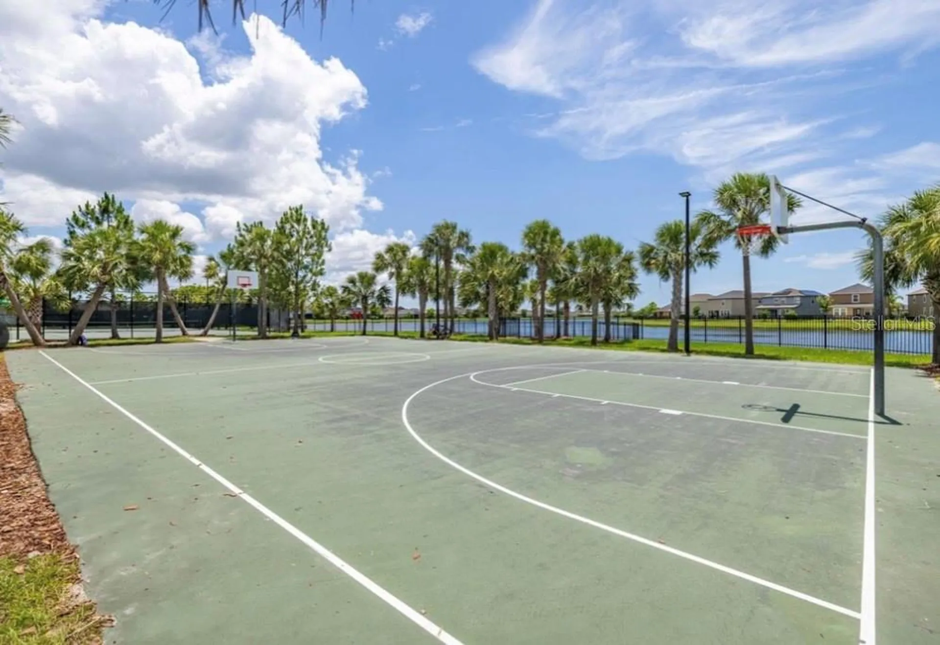 10222 Celtic Ash Drive Ruskin FL 33573