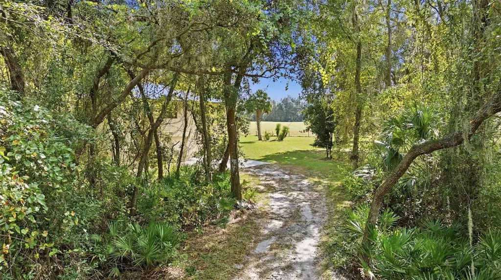 5505 Cr 634s Bushnell FL 33513