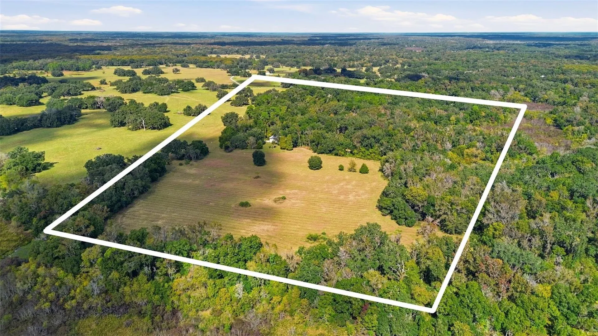 5505 Cr 634s Bushnell FL 33513