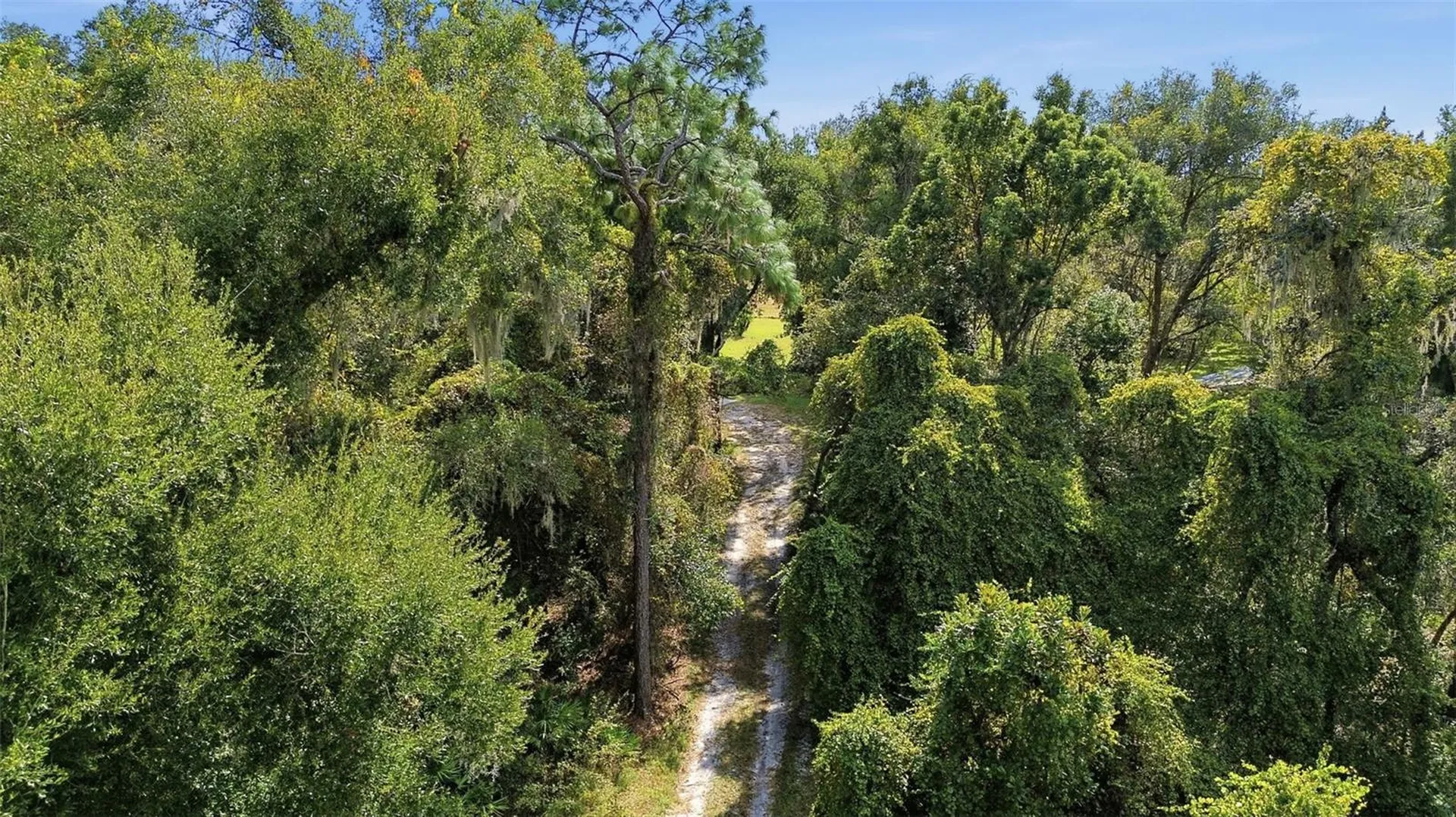 5505 Cr 634s Bushnell FL 33513