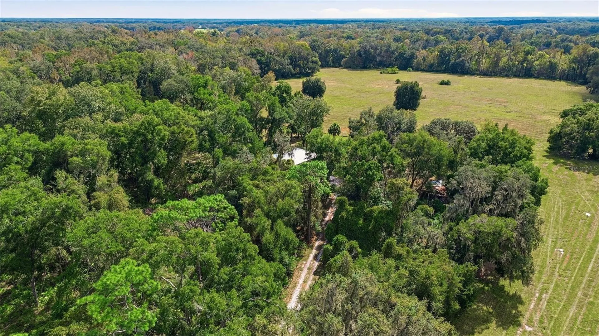 5505 Cr 634s Bushnell FL 33513