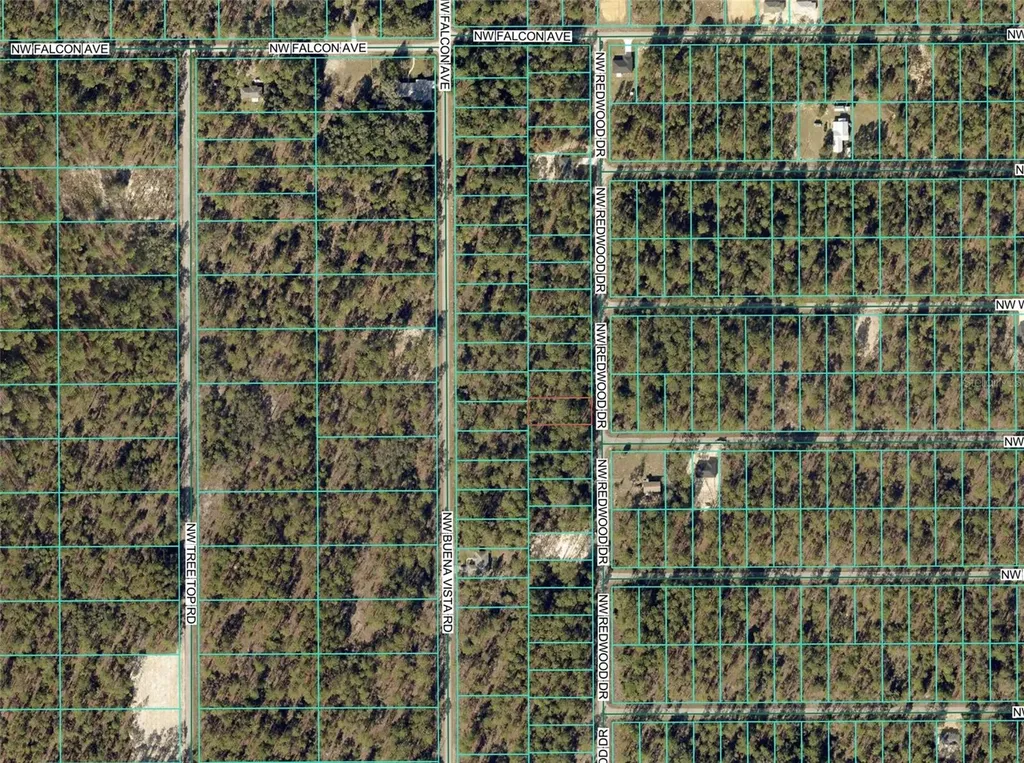 1110 NW Redwood Drive Dunnellon FL 34431