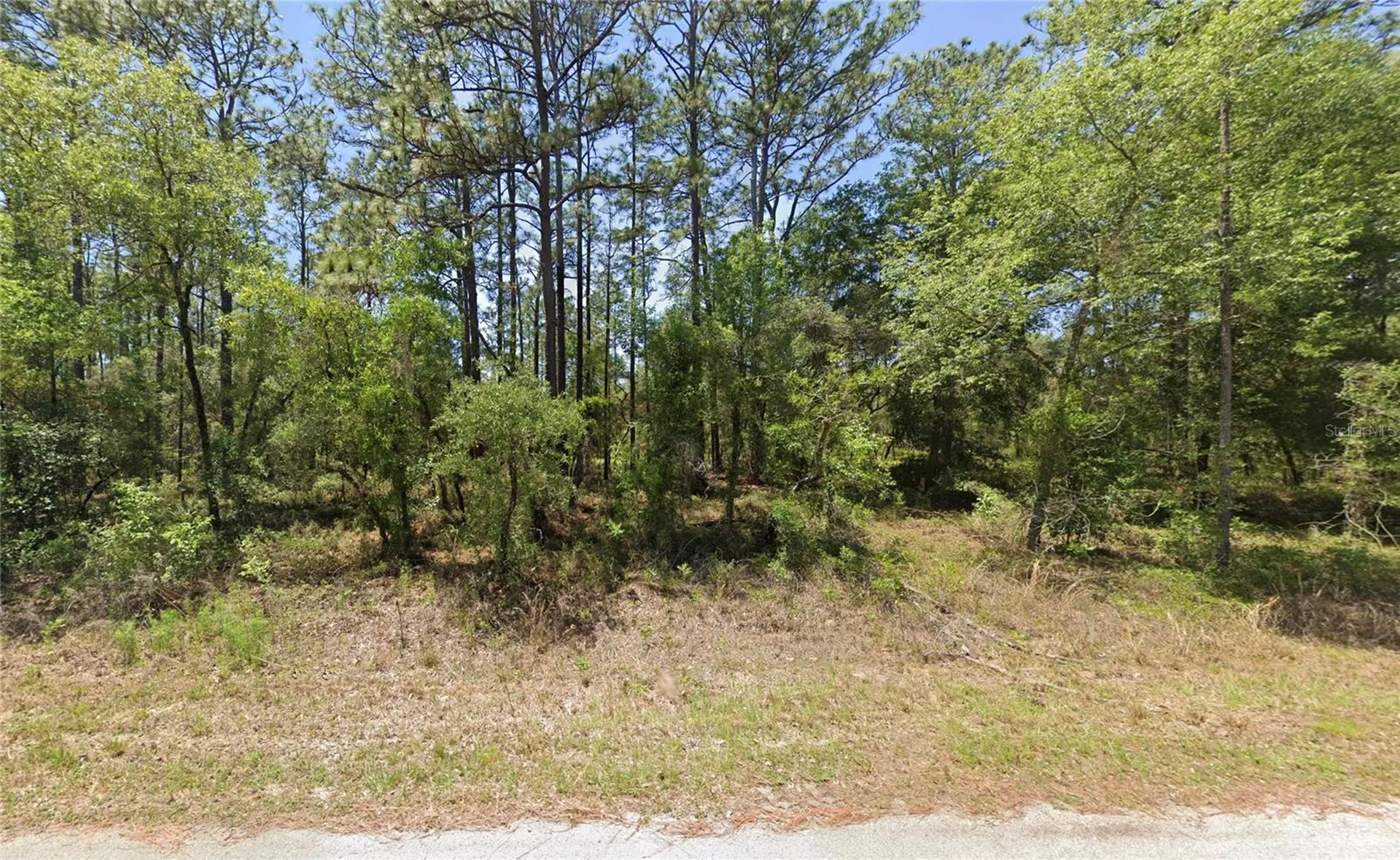 1110 NW Redwood Drive Dunnellon FL 34431