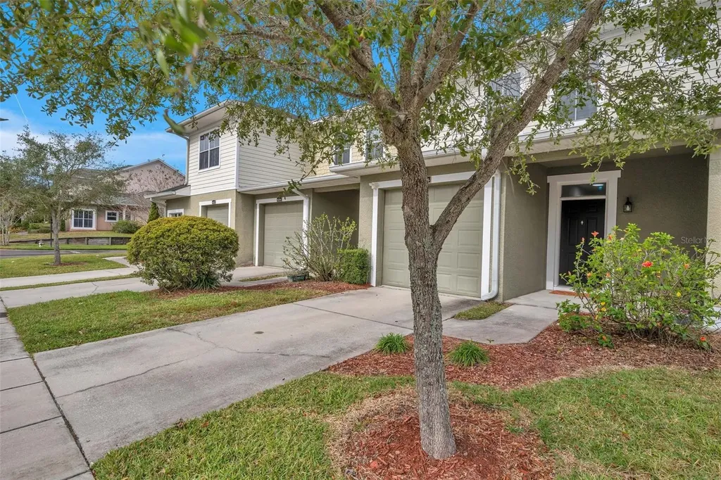 8206 Bally Money Road Tampa FL 33610