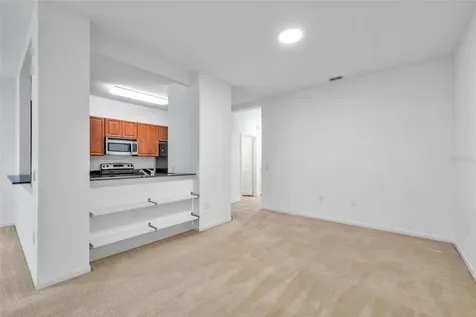8206 Bally Money Road Tampa FL 33610