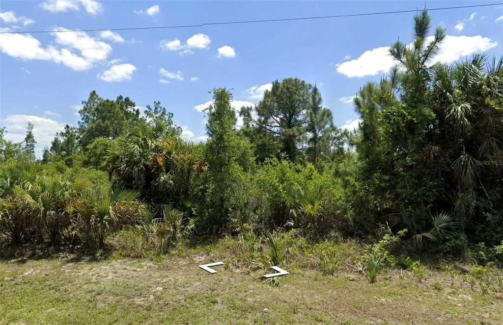 3205 W 54th Street Lehigh Acres FL 33971