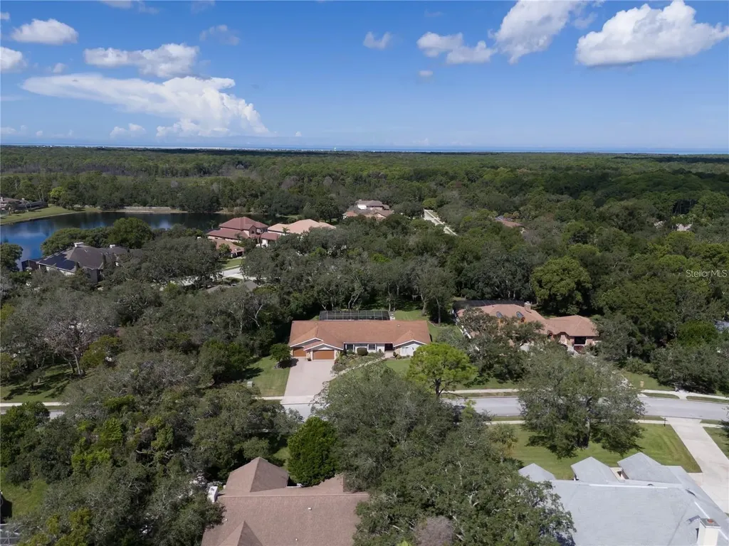 4603 Lake In The Woods Drive Spring Hill FL 34607