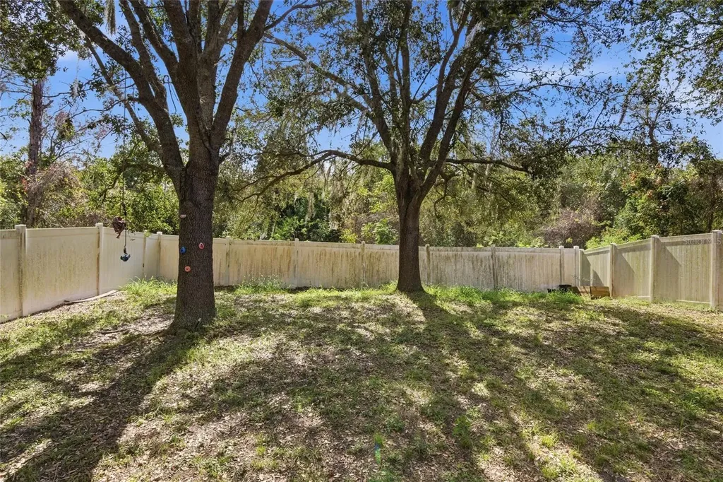2463 Martins Run Tavares FL 32778