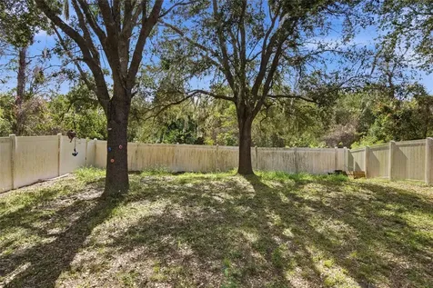 2463 Martins Run Tavares FL 32778
