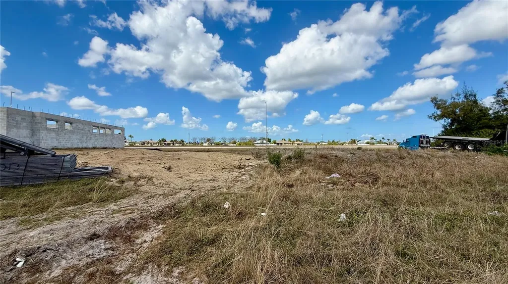 324 NW 31st Place Cape Coral FL 33993