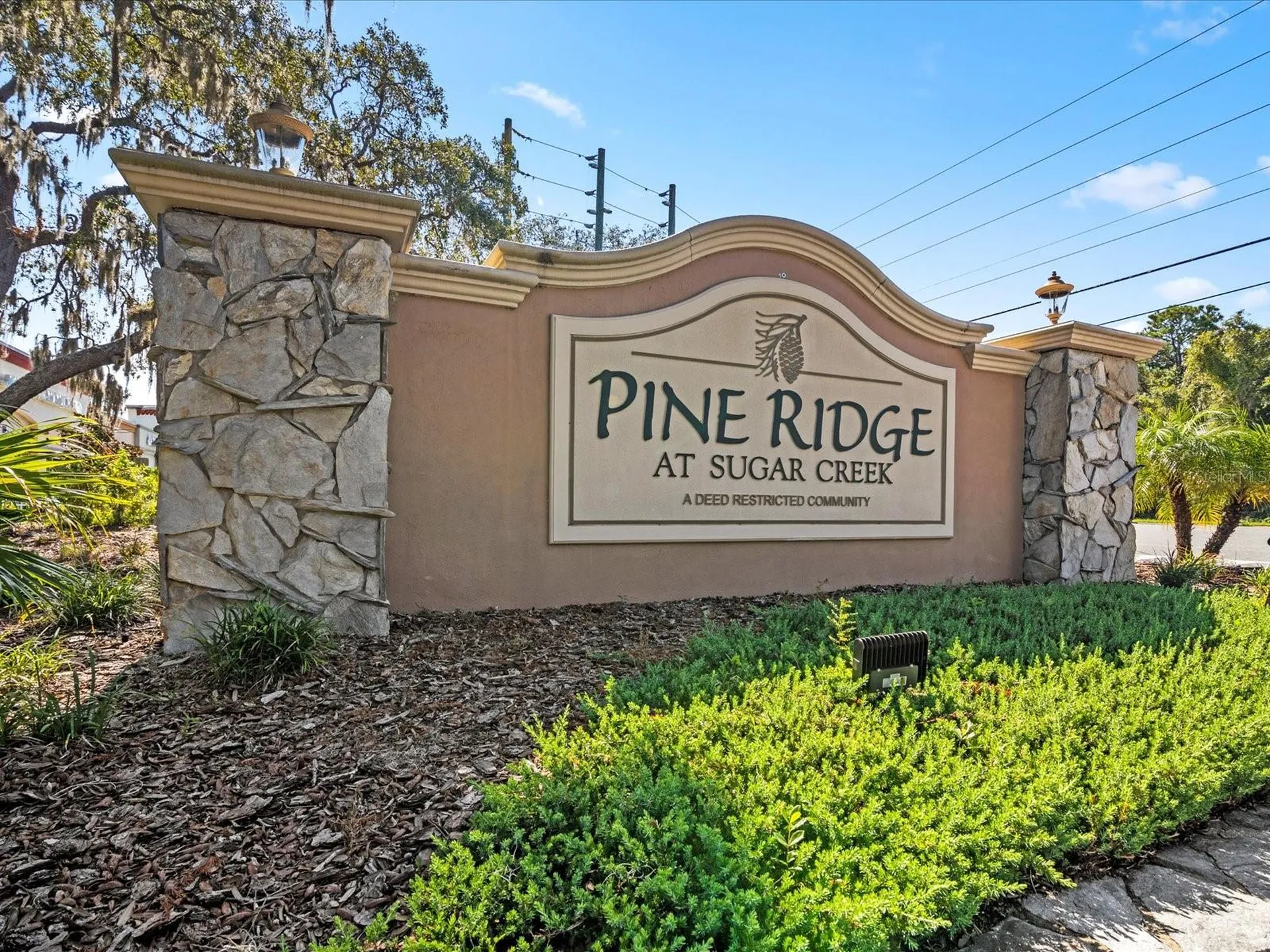 13328 Old Florida Circle Hudson FL 34669