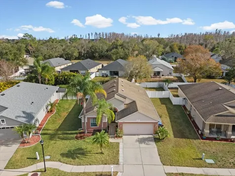 13328 Old Florida Circle Hudson FL 34669