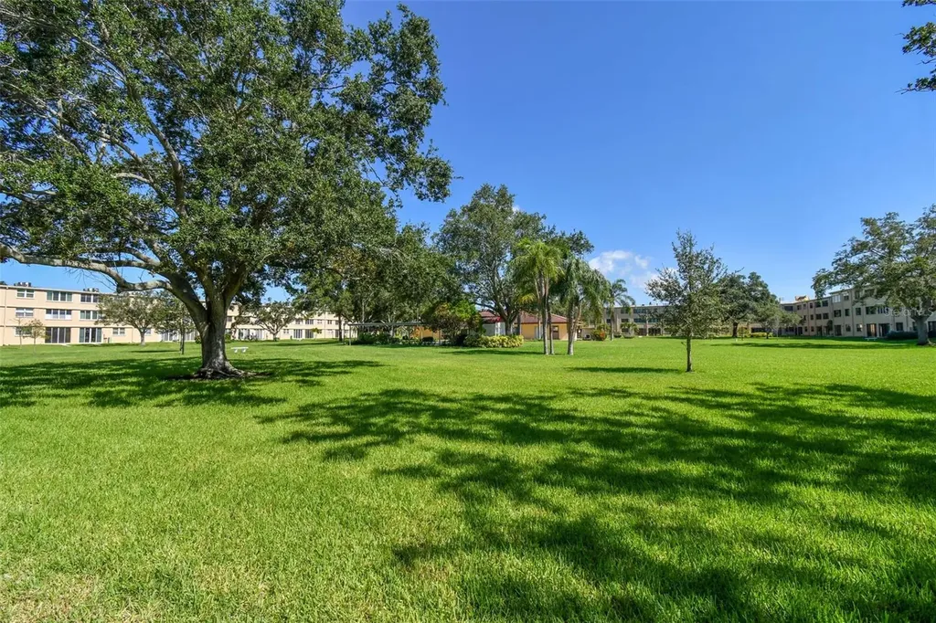 4885 1st Street NE St Petersburg FL 33703