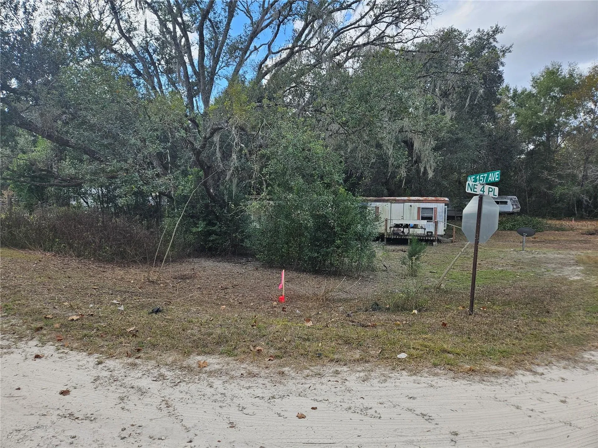 15950 NE 4th Place Williston FL 32696