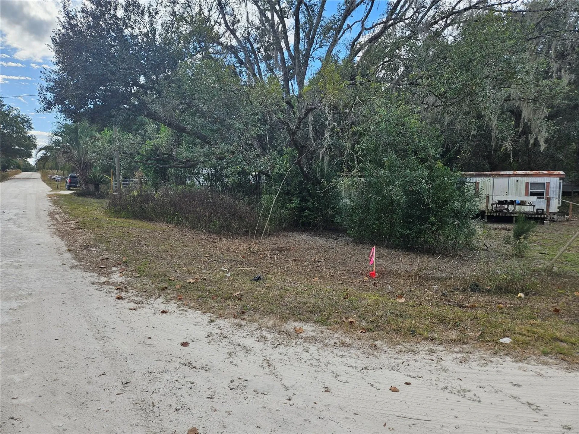15950 NE 4th Place Williston FL 32696