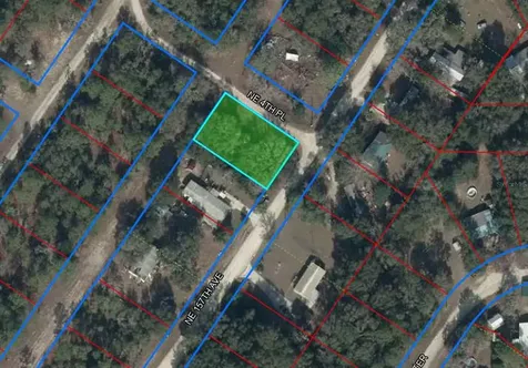 15950 NE 4th Place Williston FL 32696
