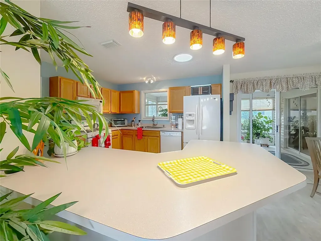969 Candler Place The Villages FL 32162