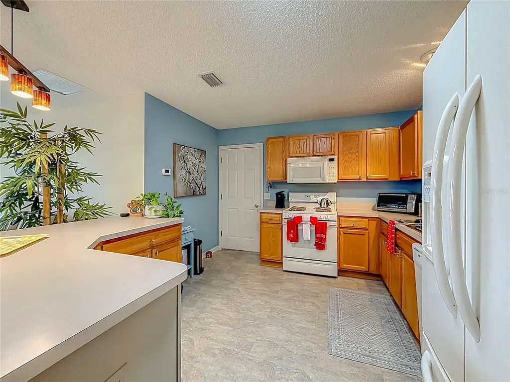 969 Candler Place The Villages FL 32162