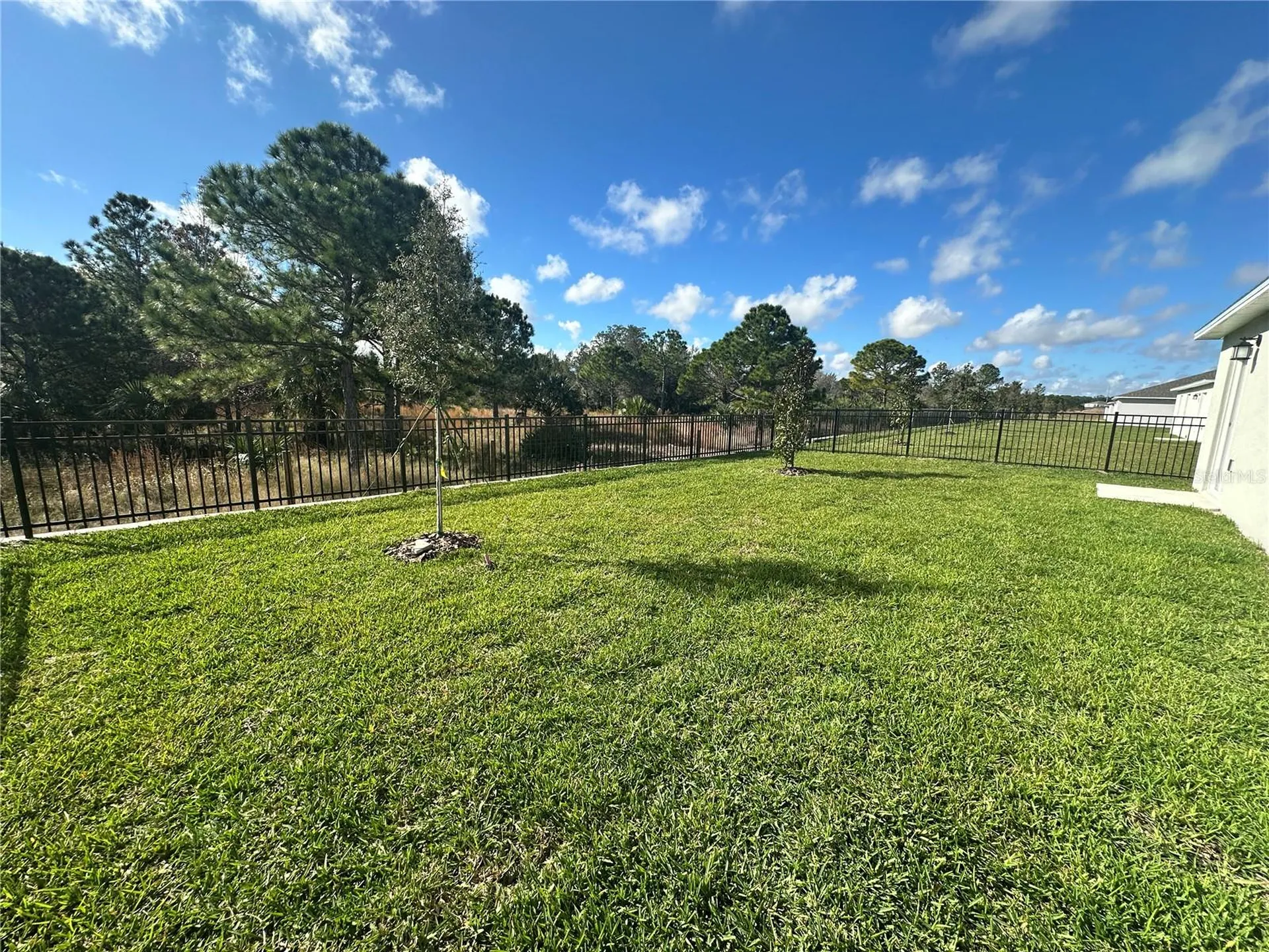 5434 Lewisham Drive Davenport FL 33837