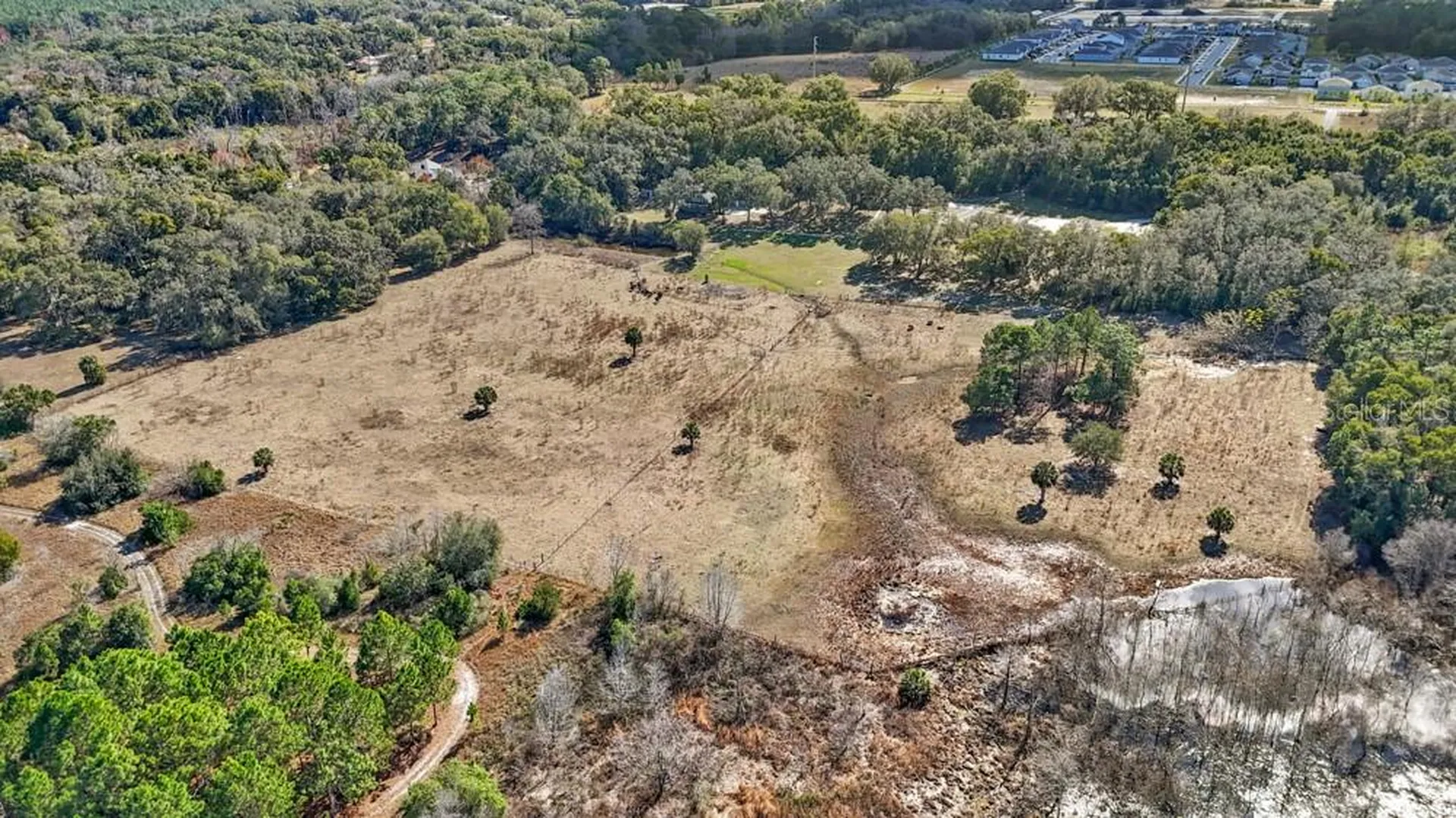19621 Lake Lincoln Lane Eustis FL 32736