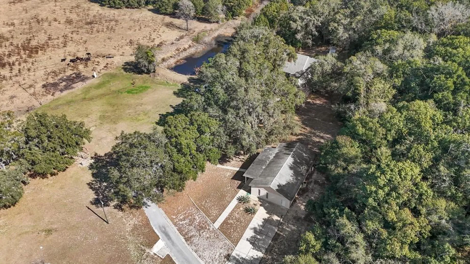 19621 Lake Lincoln Lane Eustis FL 32736