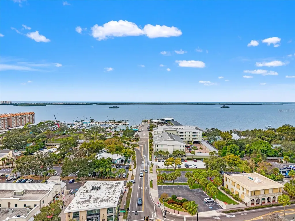 1472 Ruth Road Dunedin FL 34698