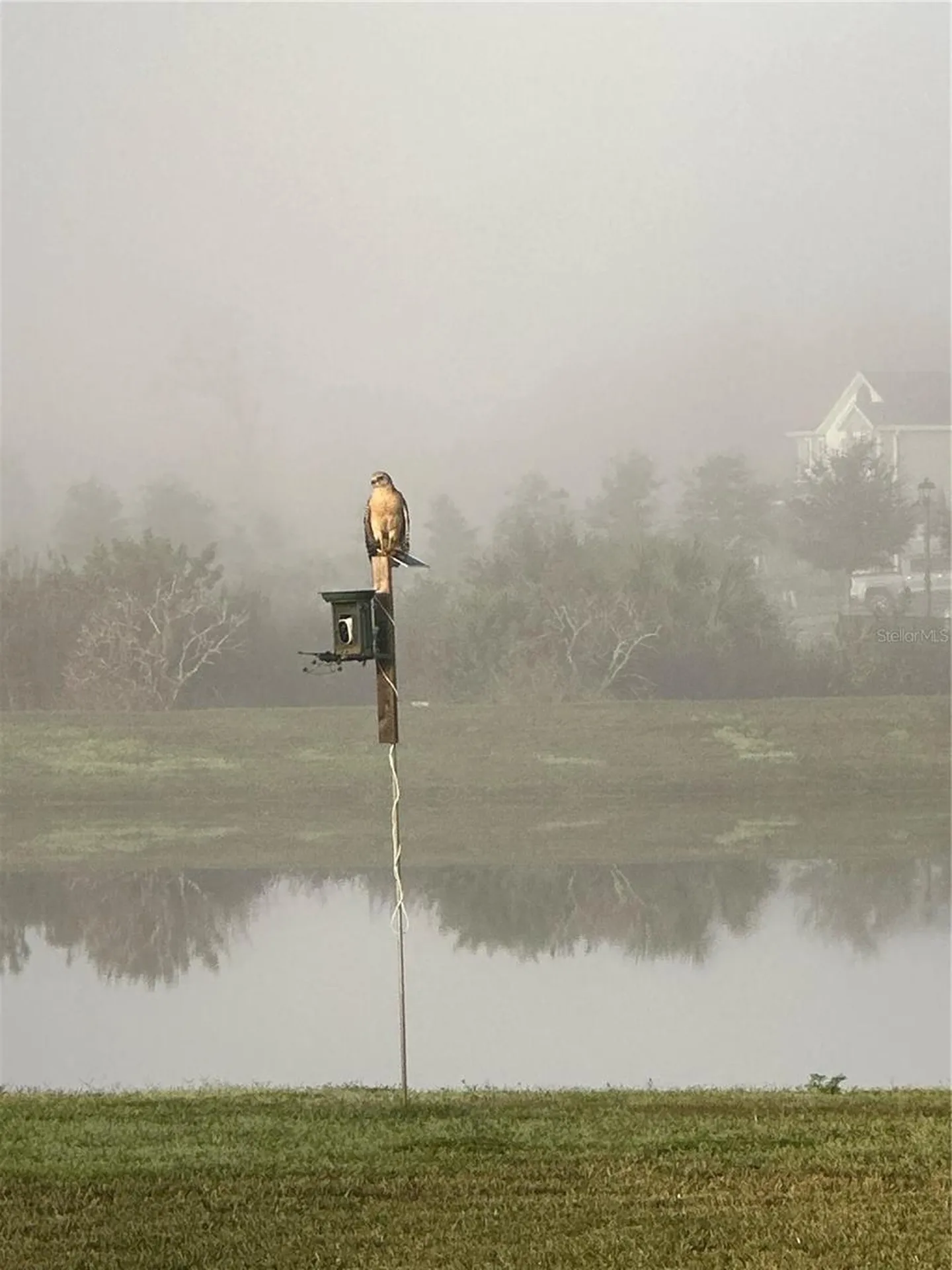 2206 Weatherly Way Orlando FL 32820