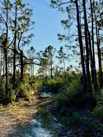 1215 Harbour Breeze Court Punta Gorda FL 33983