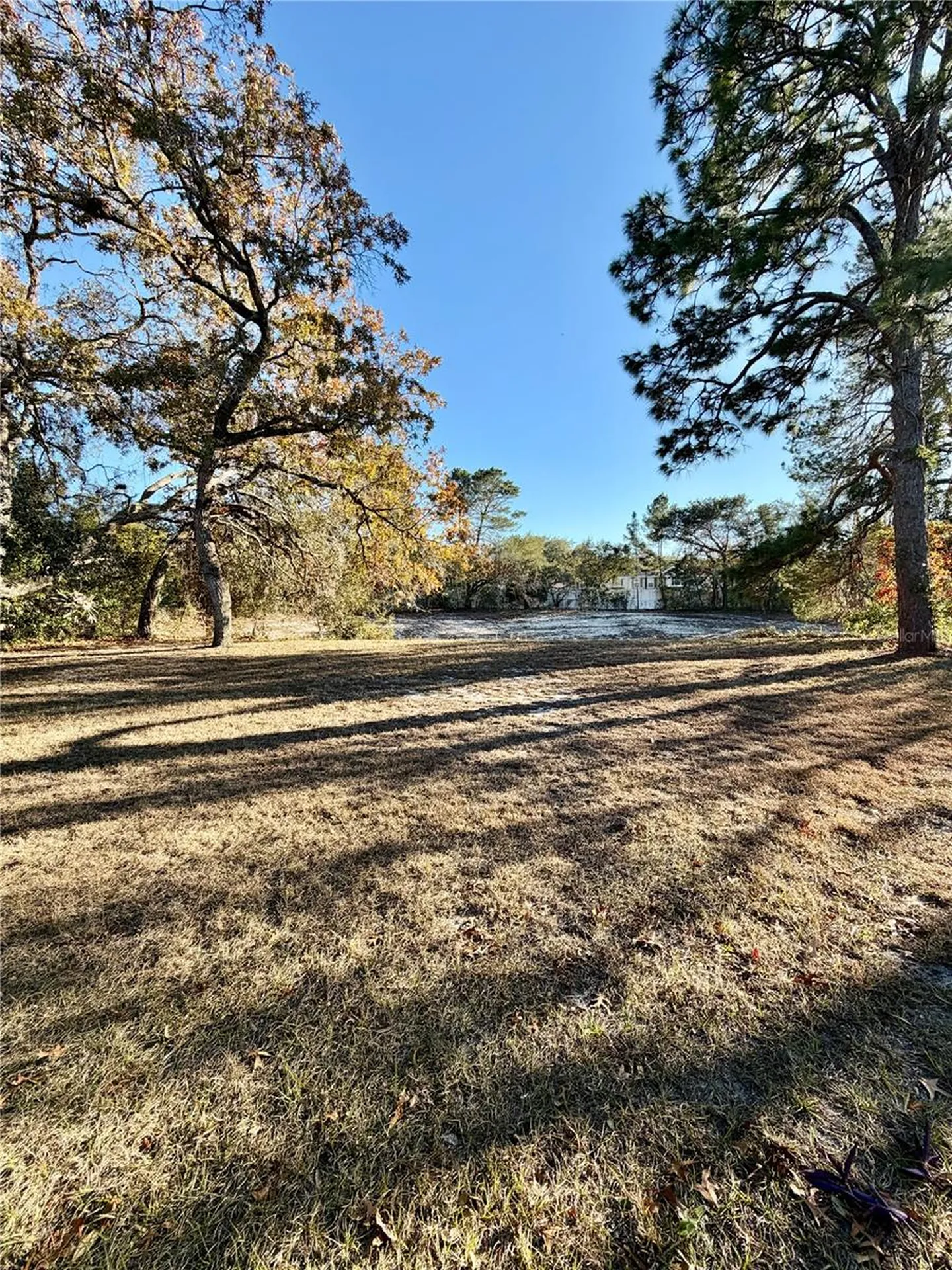 4398 Plumosa Street Spring Hill FL 34607