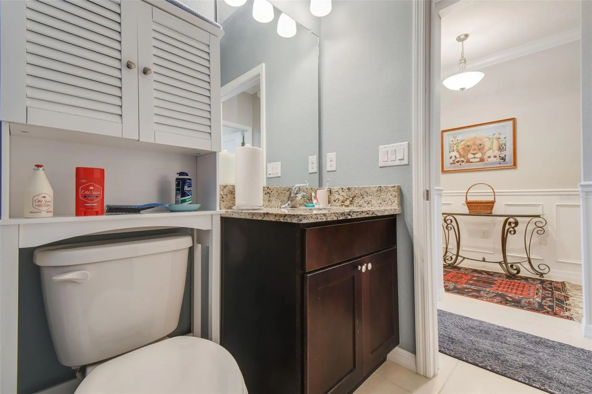 9237 SW 60th Terrace Road Ocala FL 34476