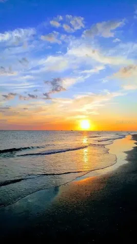 11730 Gulf Boulevard Treasure Island FL 33706