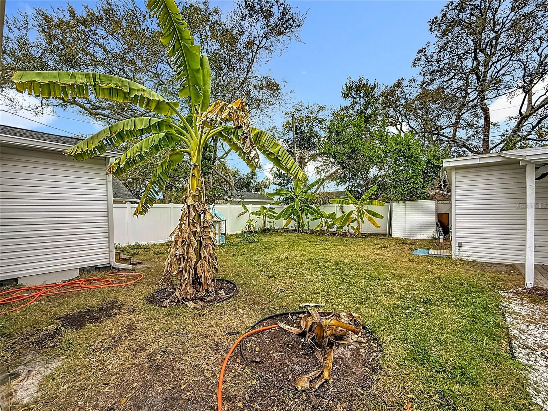 520 Roanoke Street Dunedin FL 34698
