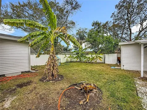 520 Roanoke Street Dunedin FL 34698