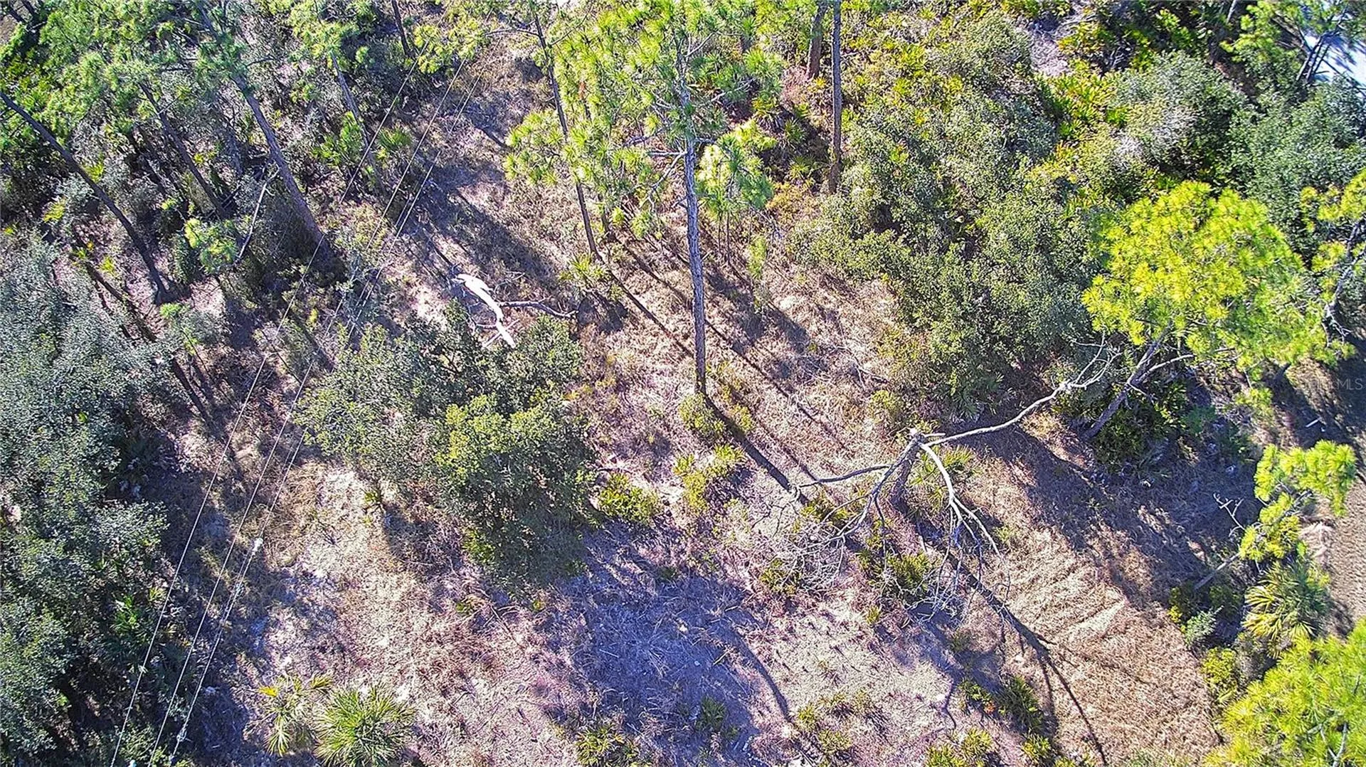 13093 Harbison Avenue Port Charlotte FL 33953