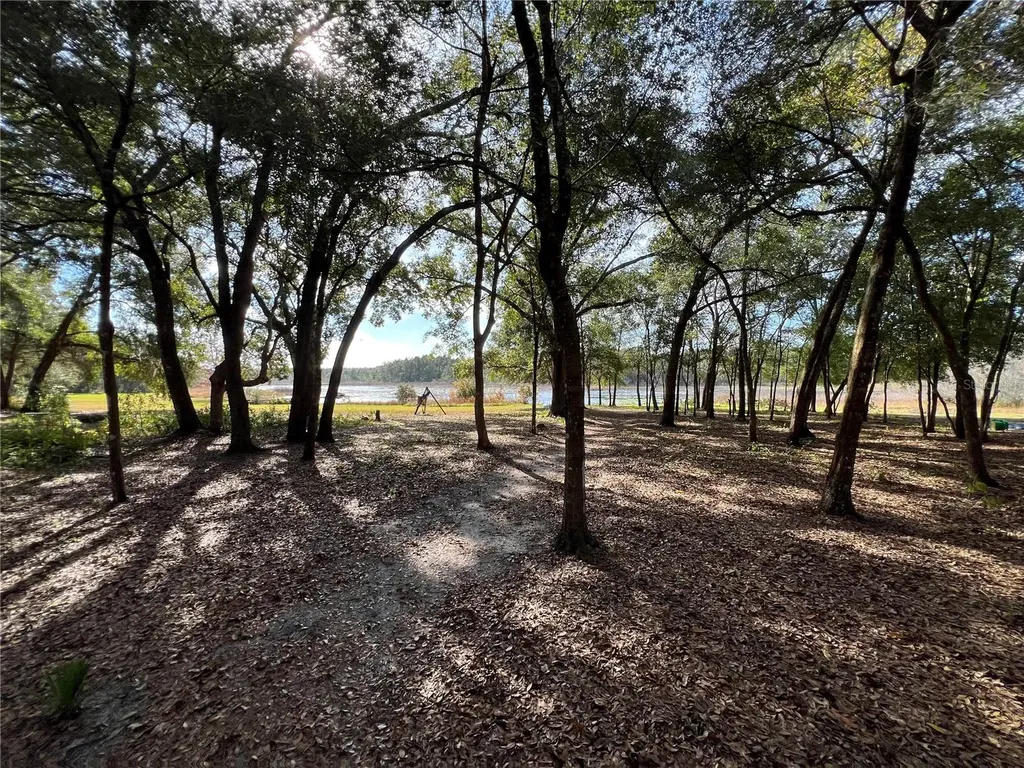 36338 W Spring Lake Boulevard Fruitland Park FL 34731