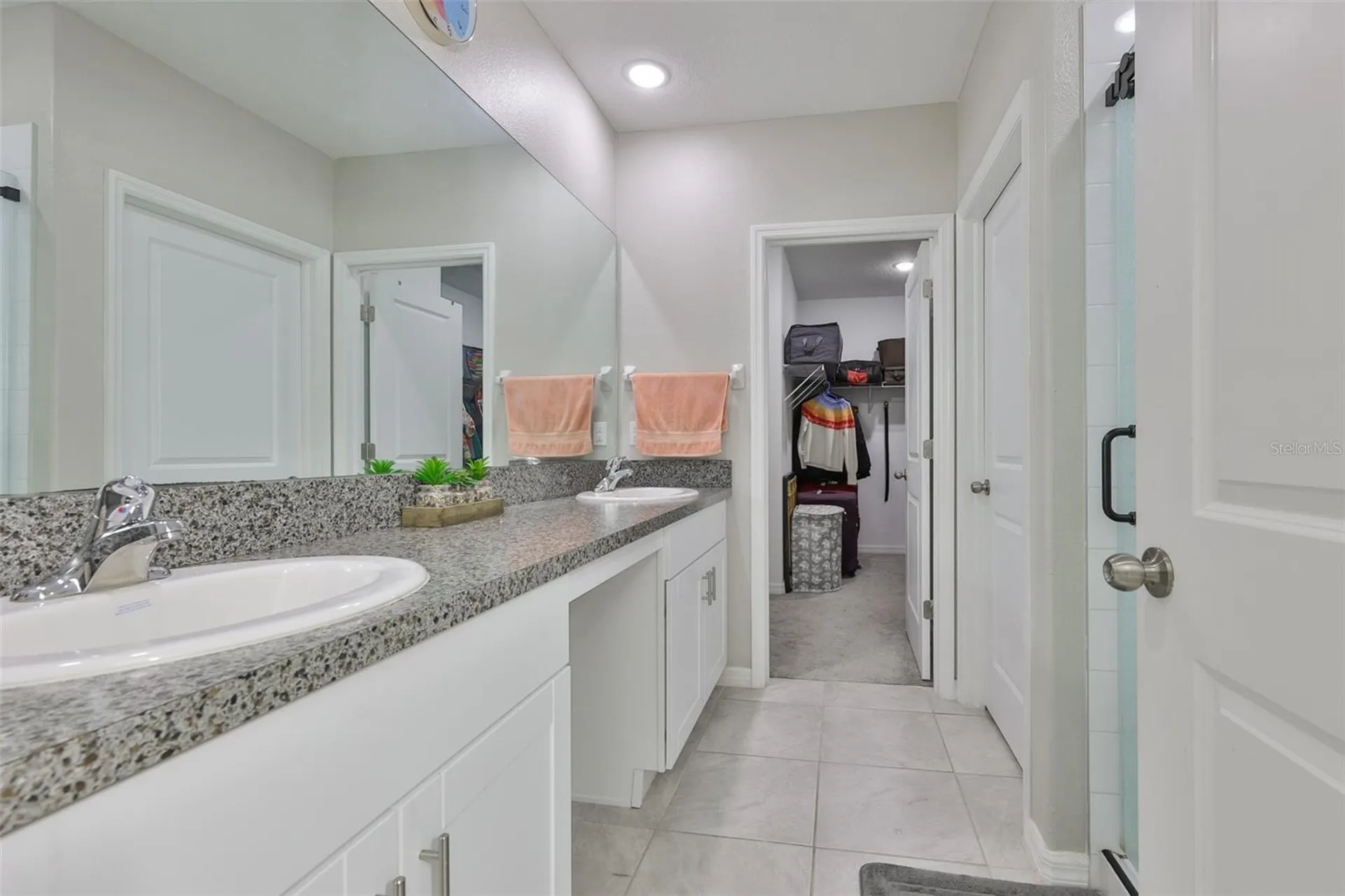 10335 Shady Preserve Drive Riverview FL 33578