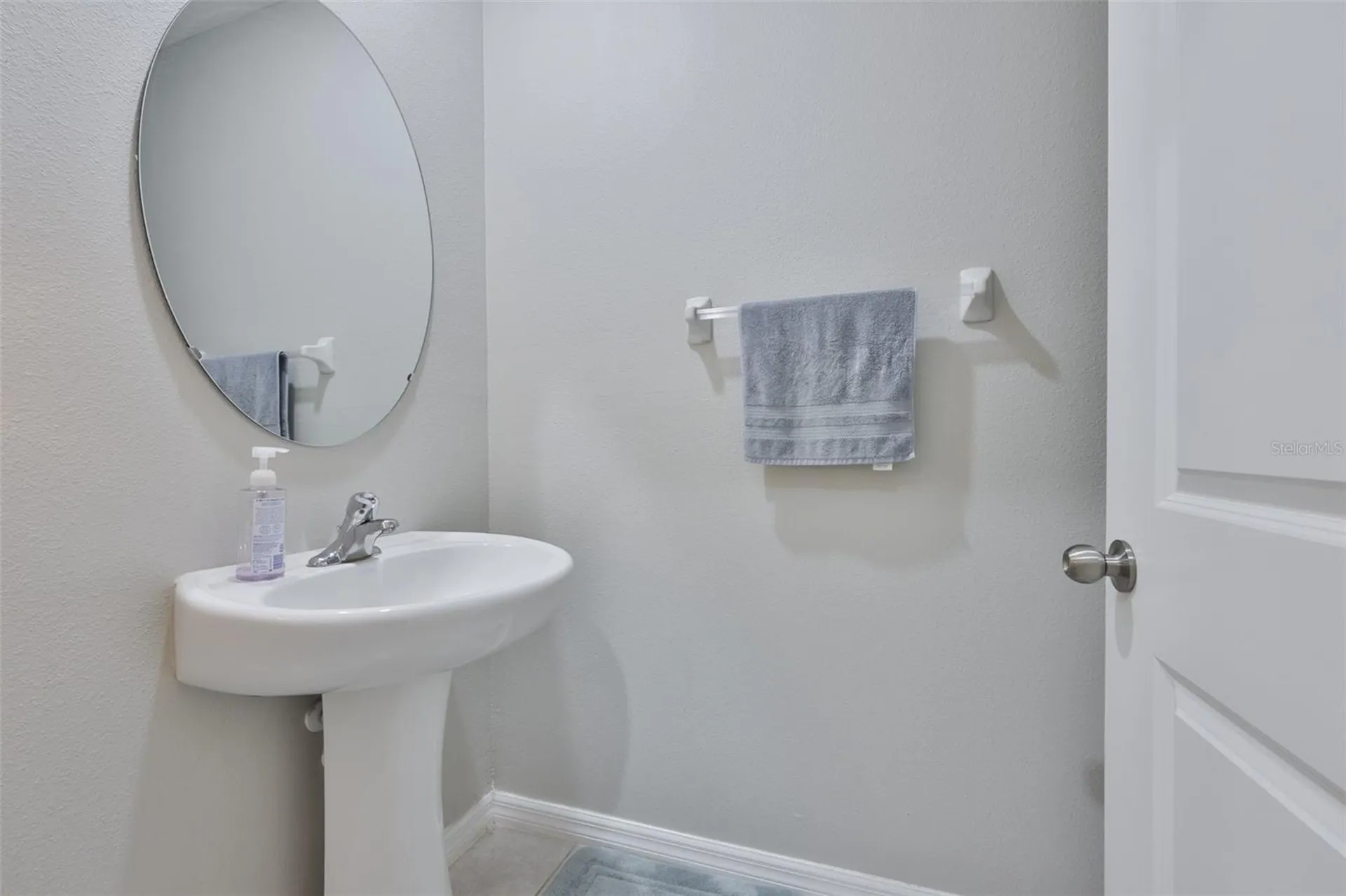 10335 Shady Preserve Drive Riverview FL 33578