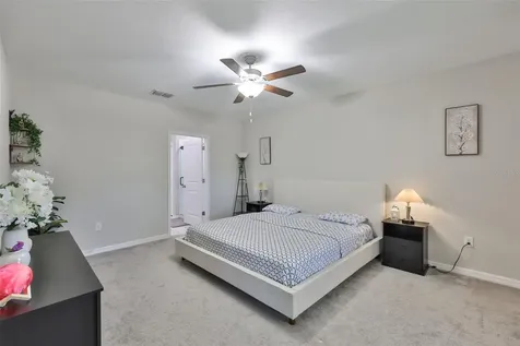 10335 Shady Preserve Drive Riverview FL 33578