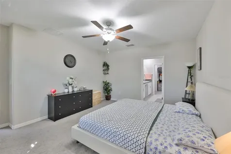 10335 Shady Preserve Drive Riverview FL 33578