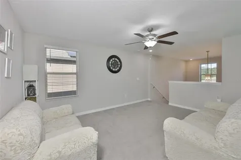 10335 Shady Preserve Drive Riverview FL 33578