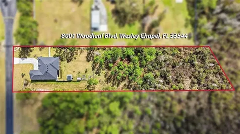 8001 Woodleaf Boulevard Wesley Chapel FL 33544