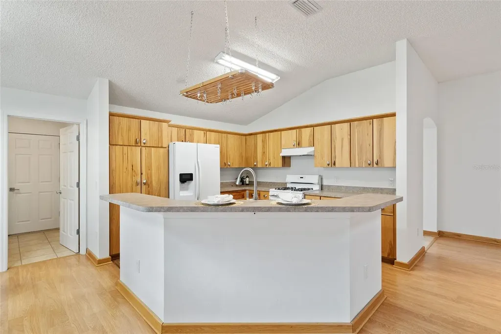 1928 Peachtree Avenue The Villages FL 32162