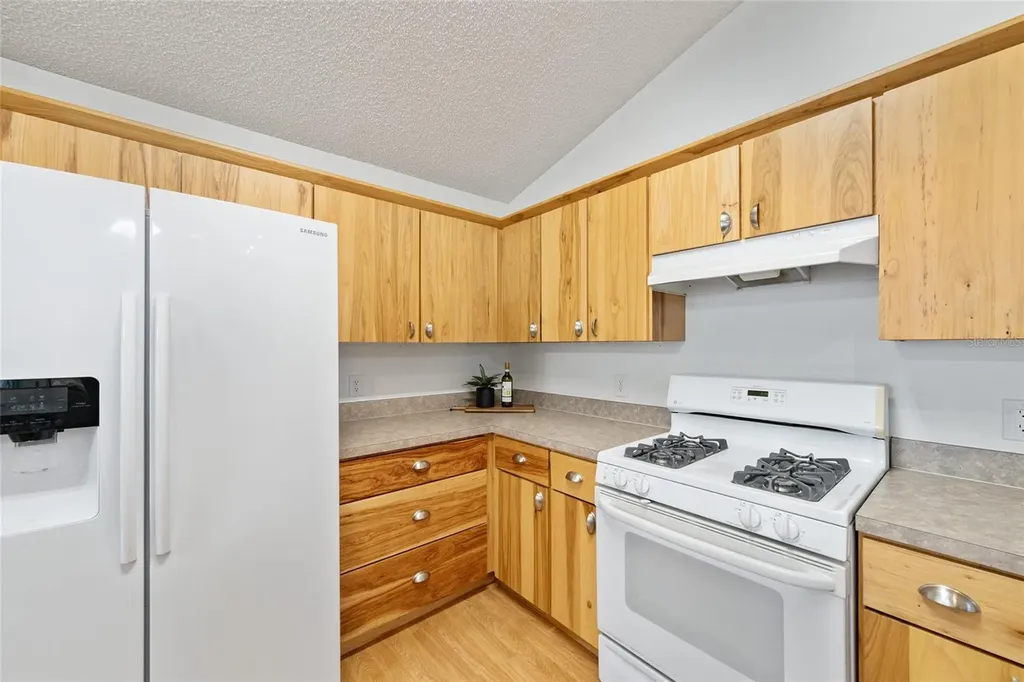 1928 Peachtree Avenue The Villages FL 32162