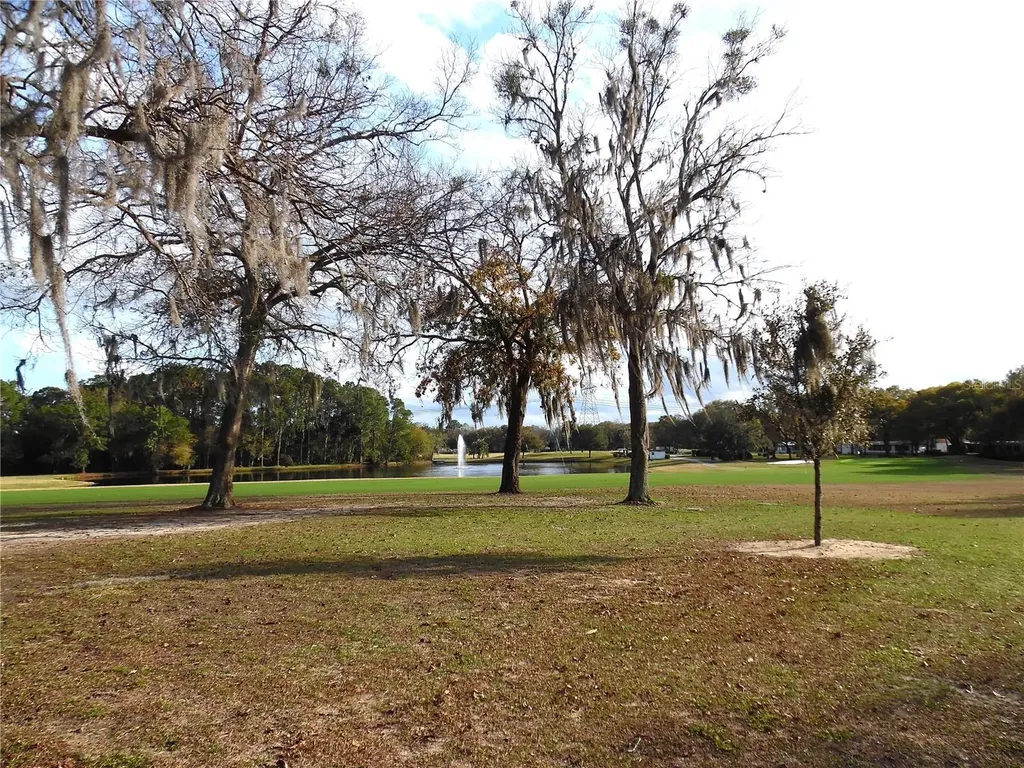 91 N Bobwhite Road Wildwood FL 34785